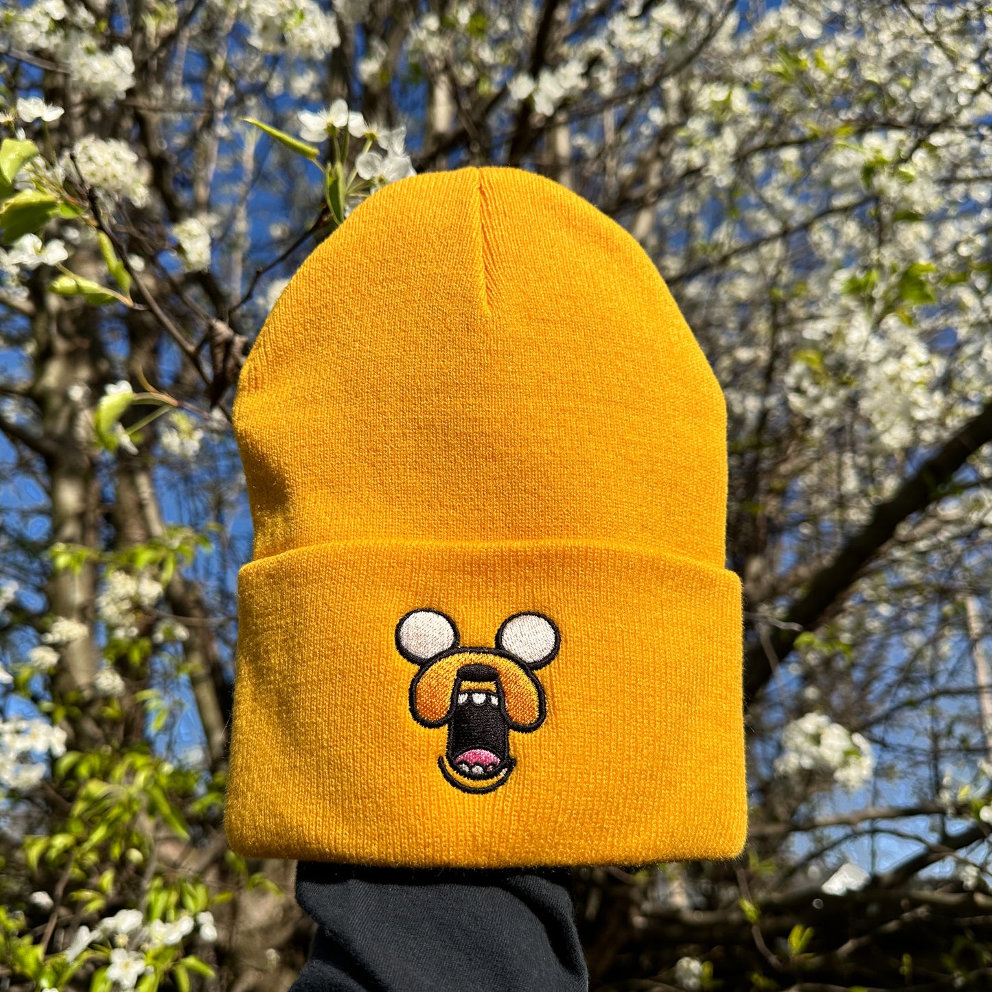 Jake Hat
