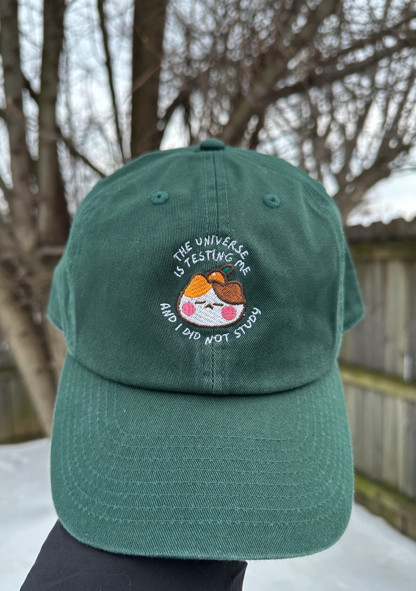 Universe Hat