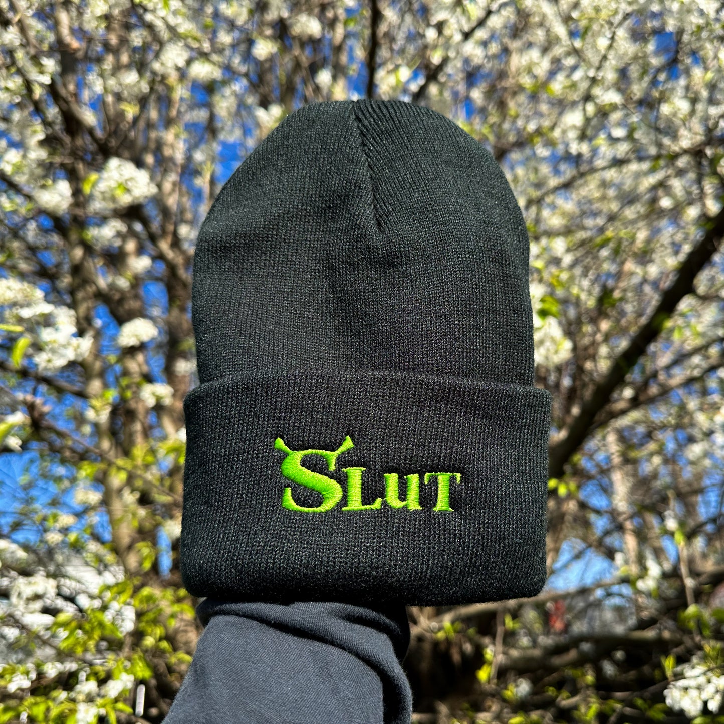 Shrek Hat