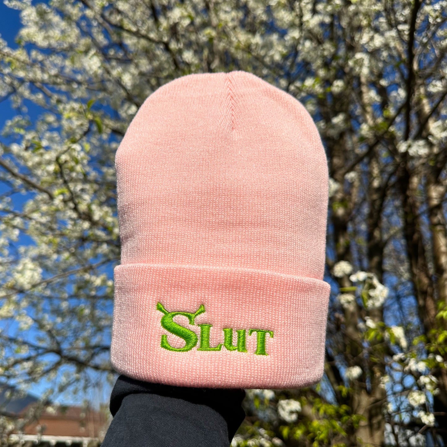 Shrek Hat
